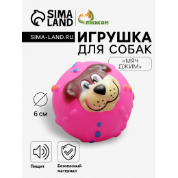 Игрушка пищащая 
