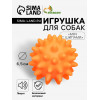 Игрушка пищащая 