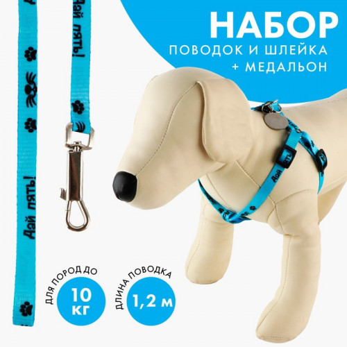 Поводок «Дай пять!» 120×1 см, шлейка 26-39 см, медальон Пушистое счастье