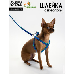 Комплект  
