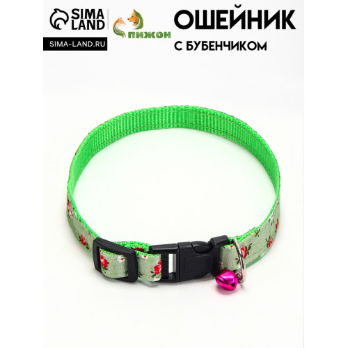 Ошейник 
