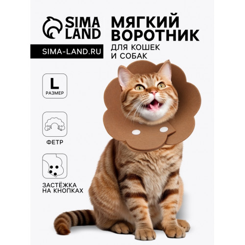 Ветеринарный воротник из фетра 