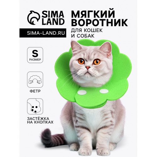 Ветеринарный воротник из фетра 