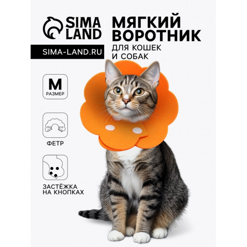 Ветеринарный воротник из фетра 