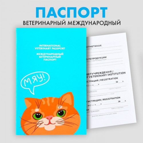 Ветеринарный паспорт международный «Рыжий кот» Пушистое счастье