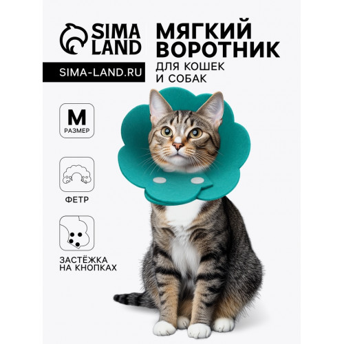 Ветеринарный воротник из фетра 