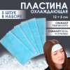 Пластина охлаждающая, набор - 5 шт., 12×5 см, синяя ONLITOP