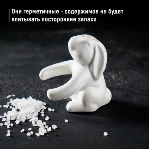 Набор для специй Доляна «Зайка», солонка 50 мл, перечница 40 мл, доломит, белый Доляна