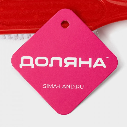 Щётка для овощей и фруктов с ручкой Доляна, 17×3.3×2 см, МИКС Доляна
