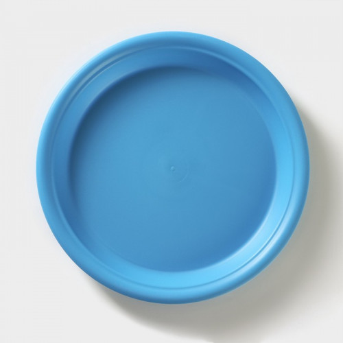 Тарелка «Удача», цвет микс ПластоС