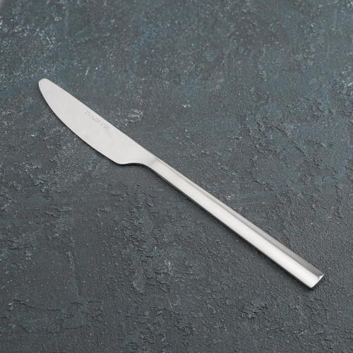 Нож столовый из нержавеющей стали «Хоккайдо», длина 23 см, цвет серебряный (производитель не указан)