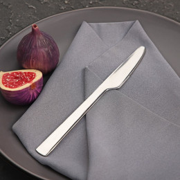 Нож столовый Доляна «Нью Гастро», длина 20 см, толщина 2 мм, цвет серебряный