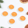 Набор свечей чайных ароматических, 6 шт, апельсин, Новый год Богатство Аромата
