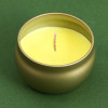 Свеча в цветной жестяной банке «Богатство», аромат ваниль, 6 х 6 х 4 см (производитель не указан)