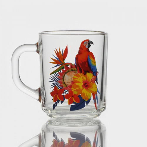 Кружка стеклянная «Тропические птицы», 200 мл, рисунок микс ОСЗ