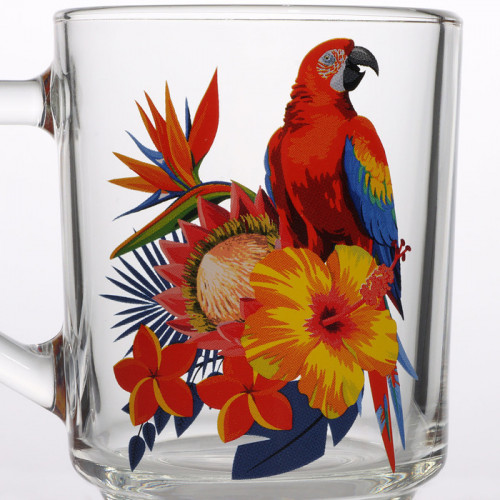 Кружка стеклянная «Тропические птицы», 200 мл, рисунок микс ОСЗ