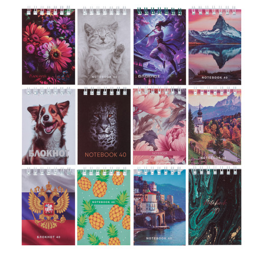 ClipStudio Блокнот А7 40 листов, офсет, обложка картон, спираль, в клетку ClipStudio