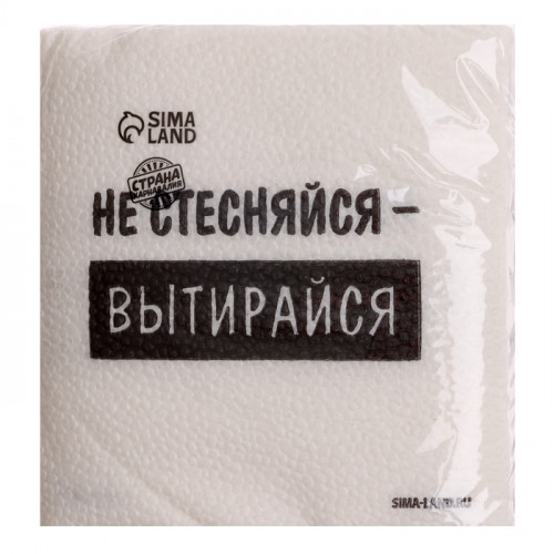 Салфетки бумажные однослойные «Не стесняйся-вытирайся», 24×24 см, набор 20 шт. Страна Карнавалия
