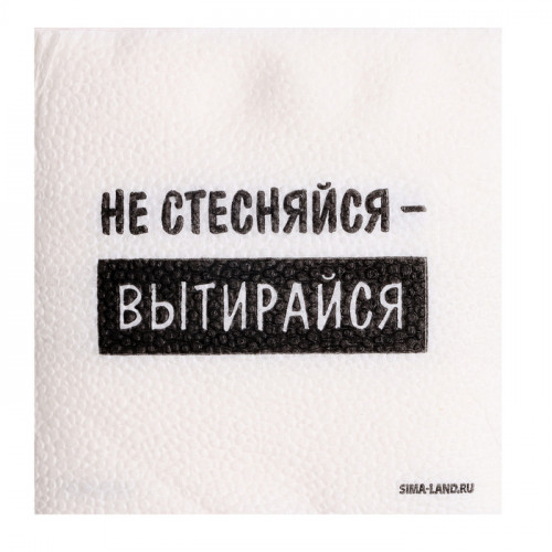 Салфетки бумажные однослойные «Не стесняйся-вытирайся», 24×24 см, набор 20 шт. Страна Карнавалия