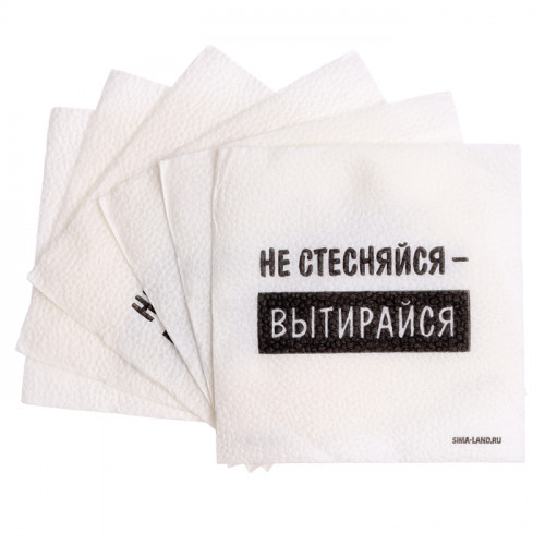 Салфетки бумажные однослойные «Не стесняйся-вытирайся», 24×24 см, набор 20 шт. Страна Карнавалия