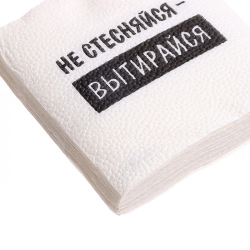 Салфетки бумажные однослойные «Не стесняйся-вытирайся», 24×24 см, набор 20 шт. Страна Карнавалия