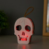 Фигурка световая RISALUX «Череп», LED-ночник, 1 Вт, RGB, от батареек LR1130, бело-чёрный, 9.5×4×5 см RISALUX